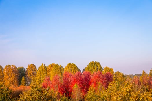 Fall season with blue sky and amazing day light