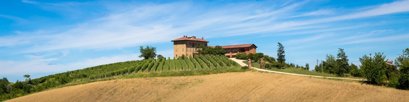ASTI, ITALY - CIRCA AUGUST 2020: Piedmont hills in Italy, Monferrato area. Scenic countryside during summer season with vineyard field. Wonderful blue sky in background.