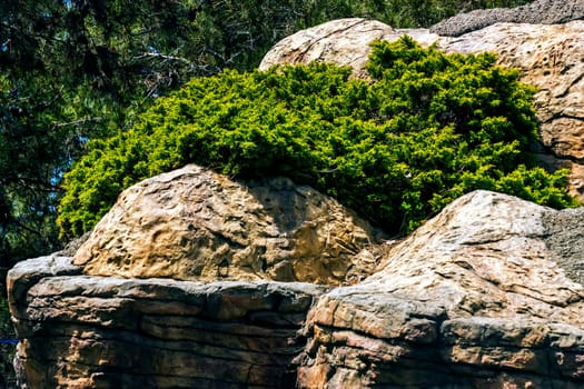 Moss covered rocks on the rock formations on Northern Caucasus.