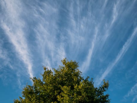 blue sky background with white clouds