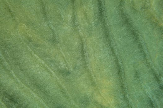 Sea bottom - sand "dunes"" in shallow ocean water, underwater view from above. Abstract marine background."