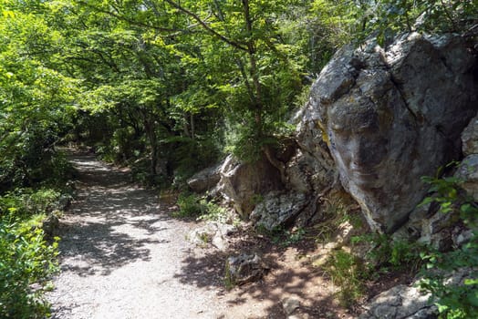 A face carved in a large stone along a sunny path. Crimea. Yalta