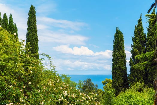 In the park of the Livadia Palace. Crimea. Yalta