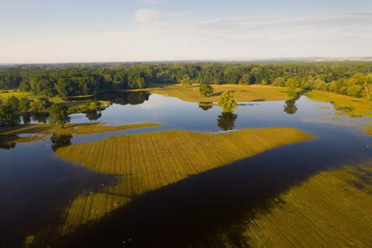 Water standing still on a flooded meadow from drone. Aerial perspective of a river flowing through open country. Natural process in unspoiled ecosystem.