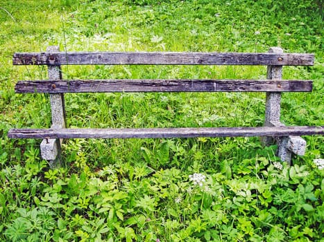 Old bench in the garden