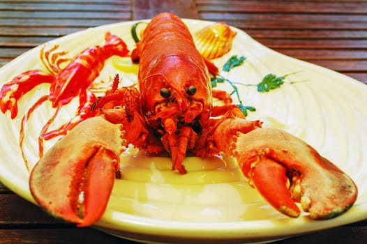 Plate with lobster