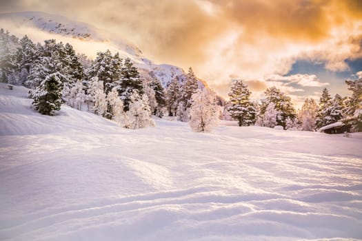 Beautiful Snow Landscape background during sunrise with fog in the distance, forest with trees, snow waves in the forefront, stryn, norway