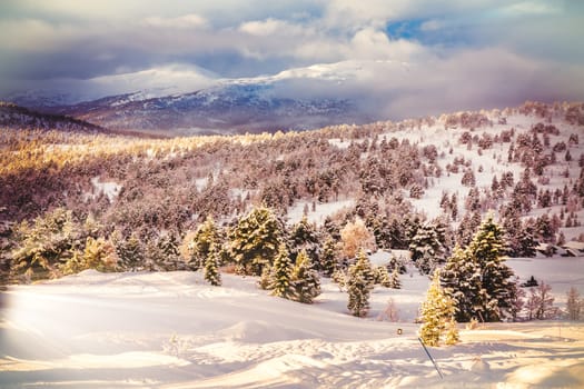 Beautiful Snow Landscape background during sunrise with fog and clouds in the distance, forest with trees, snow waves in the forefront, ski area, stryn, norway