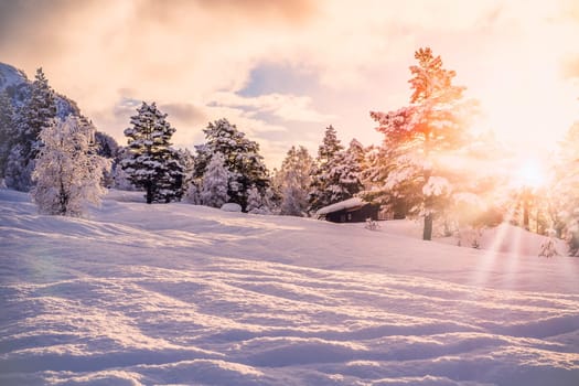 Beautiful Snow Landscape background during sunrise with sunbeam, a cabin and trees, plenty of snow in the forefront, stryn, norway