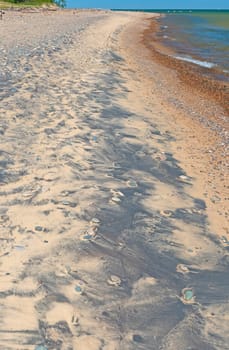 Colorful Sands on the Shore of the Great Lakes on Whitefish Point in Michigan