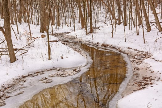 Quiet Stream Wending Its Way Through the Winter Forest in Starved Rock State Park in Illinois