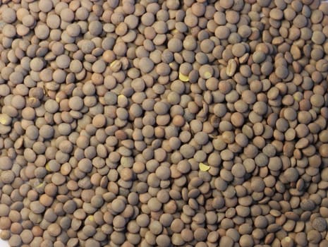 delicious lentils healthy natural legumes needed background