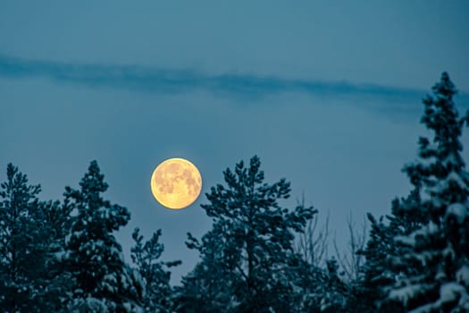 Full moon on the background of a winter landscape. High quality photo