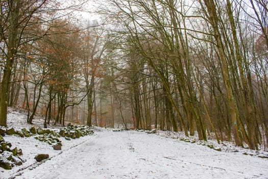 Bergpark Wilhelmshoehe in Kassel in Germany, a unique landscape park in Kassel, Germany