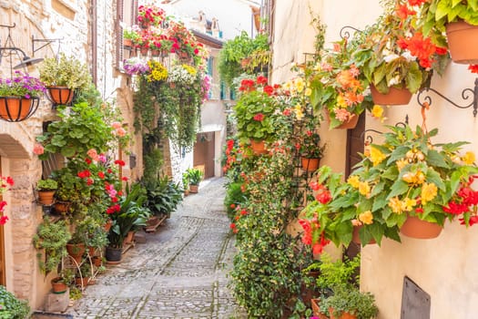 Spello, Italy - Circa June 2021: flowers in ancient street. Spello is located in Umbria region, Italy.