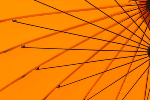 a orange umbrella