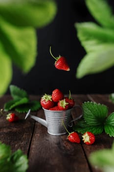 Fresh wet sweet strawberries levitation in watering can on wooden background table, black wall, green leaves, water drops. Freshness, summer concept wallpaper. Eco, bio farm fruits concept in low key
