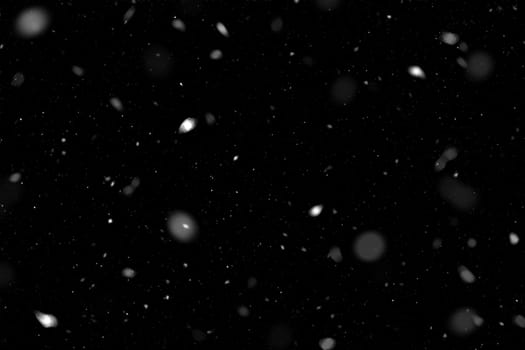 Real falling snow on a black background
