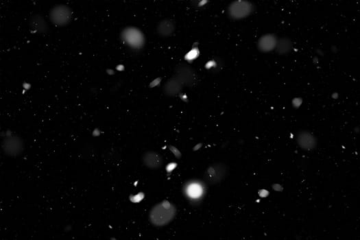 Real falling snow on a black background