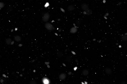 Real falling snow on a black background