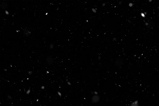 Real falling snow on a black background