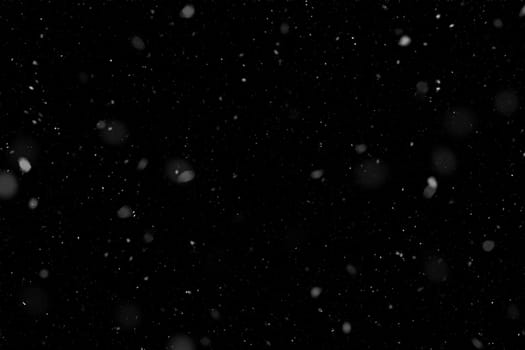 Real falling snow on a black background