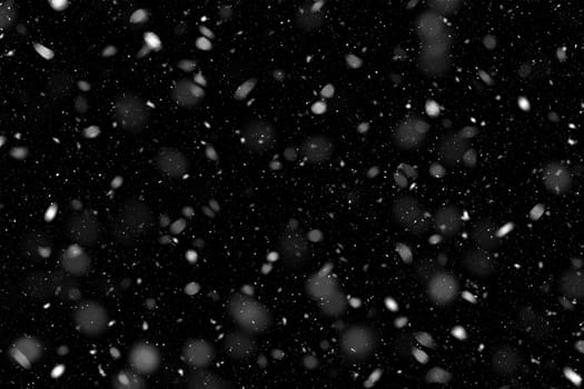 Real falling snow on a black background