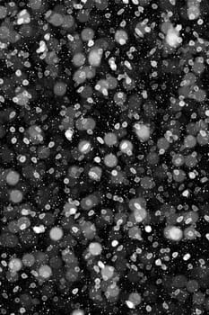 Real falling snow on a black background