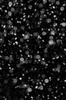 Real falling snow on a black background