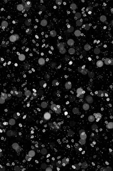 Real falling snow on a black background