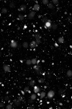 Real falling snow on a black background
