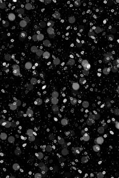 Real falling snow on a black background