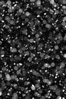 Real falling snow on a black background