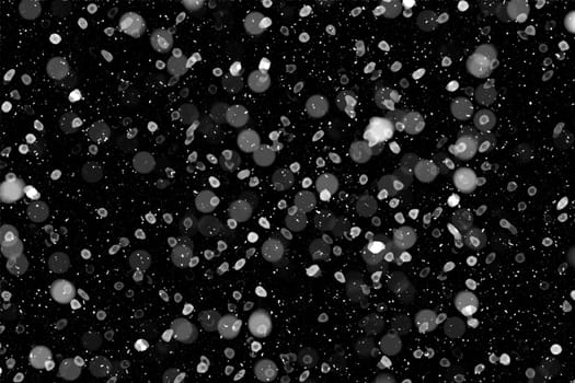 Real falling snow on a black background