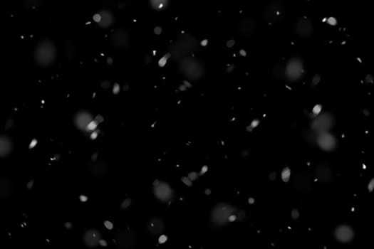 Real falling snow on a black background
