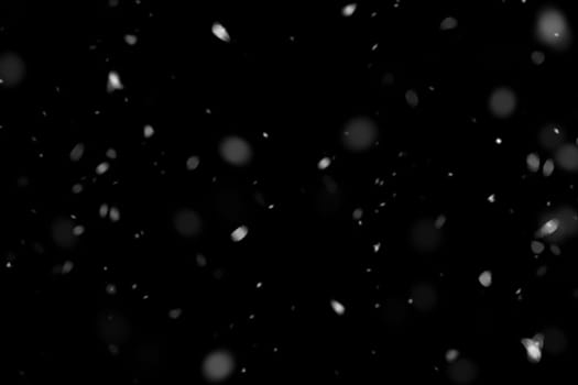 Real falling snow on a black background