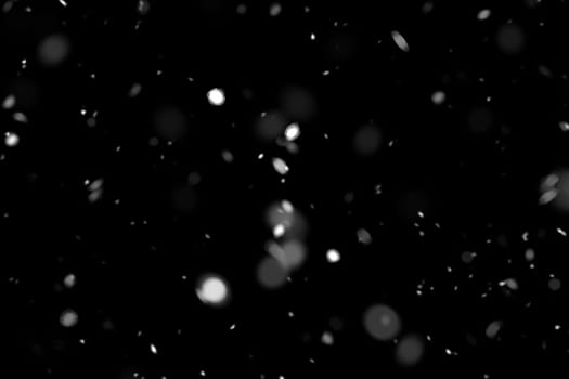 Real falling snow on a black background