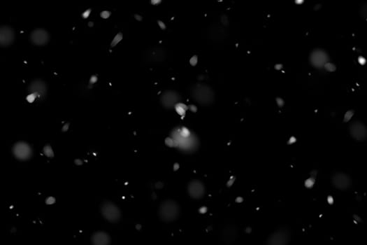 Real falling snow on a black background