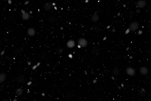 Real falling snow on a black background