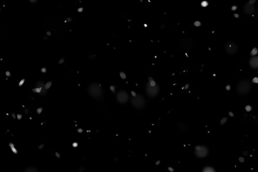 Real falling snow on a black background