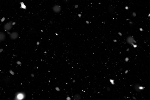 Real falling snow on a black background