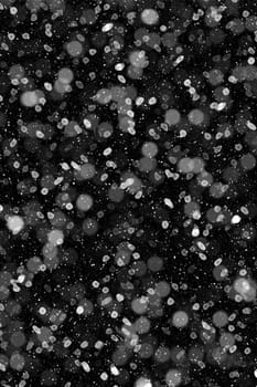 Real falling snow on a black background