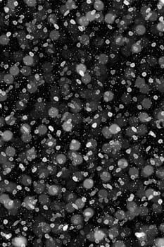 Real falling snow on a black background