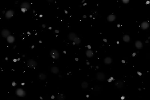 Real falling snow on a black background