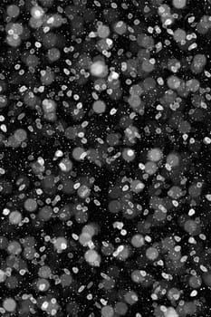 Real falling snow on a black background