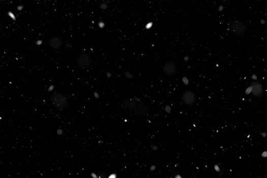 Real falling snow on a black background