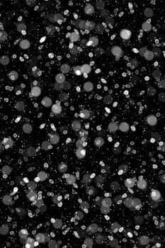 Real falling snow on a black background