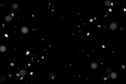 Real falling snow on a black background