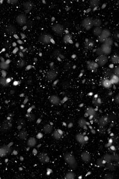 Real falling snow on a black background