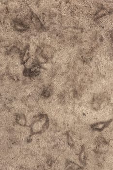 Rusted iron texture for background
